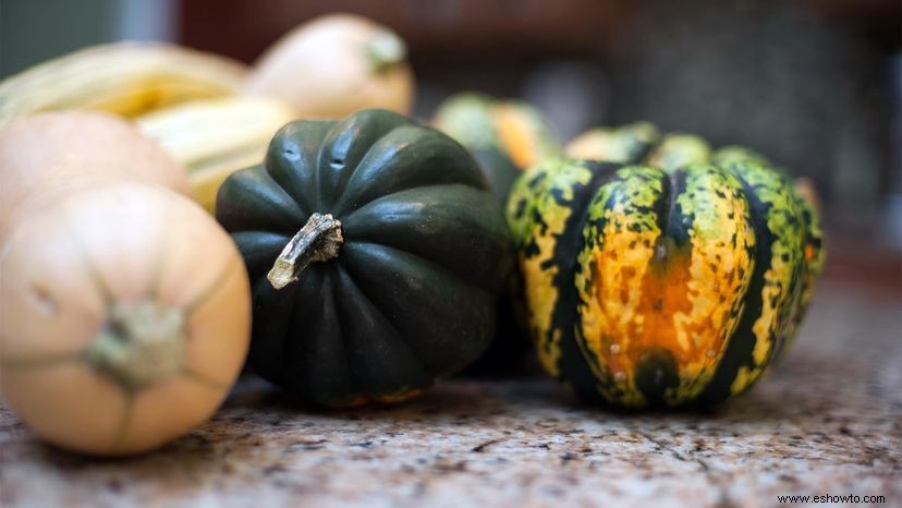 5 deliciosas calabazas de invierno que son fáciles de preparar 