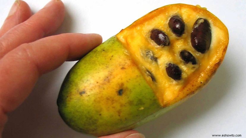 Papayas:la fruta olvidada que podría usar un poco de amor 