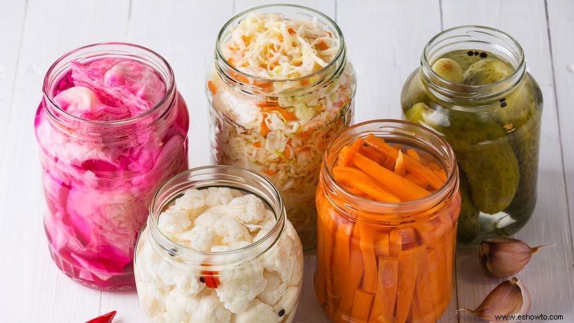 Fermentación de alimentos:cómo los microorganismos hacen que los alimentos sean deliciosos 