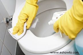 Cómo desinfectar tu baño sin lejía 