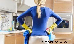 5 excelentes consejos para el saneamiento de la cocina 