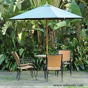 5 consejos para crear un patio trasero tropical 