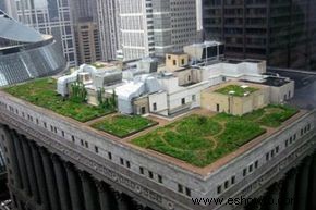 Techos verdes y techos blancos:formas de baja tecnología para ahorrar toneladas de energía 