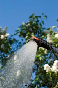 Diseño e instalación de una ducha de jardín 