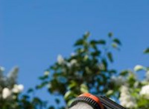 Guía completa: Diseño e instalación de una ducha de jardín exterior paso a paso