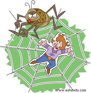 Actividades de araña 