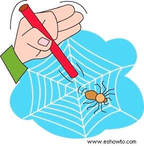 Actividades de araña 