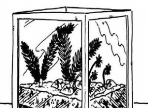 Actividades Ambientales Divertidas para Niños: Protege la Naturaleza y Salva Animales