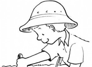 Actividades Educativas con Fósiles para Niños: Explora el Pasado en Casa y la Ciudad