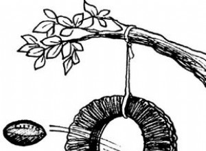 Juegos Deportivos Divertidos para Niños: Ideas Fáciles y Creativas para Desarrollar Habilidades