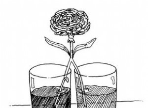 Actividades Divertidas y Educativas de Interior para Niños: Caminar como Gato y Clavel Colorido