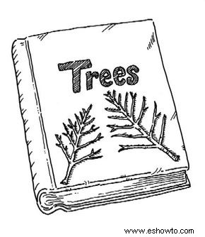 Manualidades de árboles para niños 