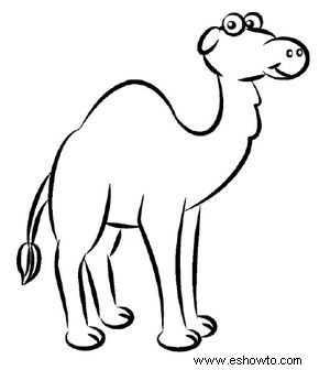 Cómo dibujar un camello en 5 pasos 