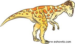 Cómo dibujar Pachycephalosaurus en 7 pasos 