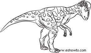 Cómo dibujar Pachycephalosaurus en 7 pasos 
