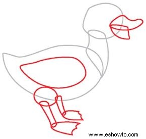 Cómo dibujar un pato en 4 pasos 