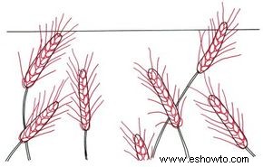Cómo dibujar campos de trigo en 4 pasos 