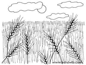 Cómo dibujar campos de trigo en 4 pasos 