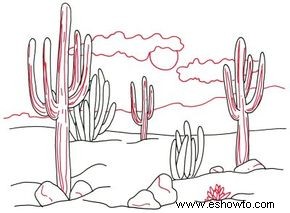 Cómo dibujar cactus del desierto en 4 pasos 