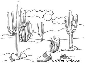 Cómo dibujar cactus del desierto en 4 pasos 