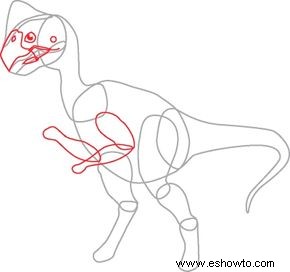 Cómo Dibujar Oviraptor en 7 Pasos 