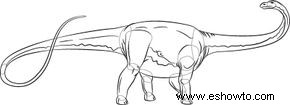 Cómo dibujar Diplodocus en 5 pasos 
