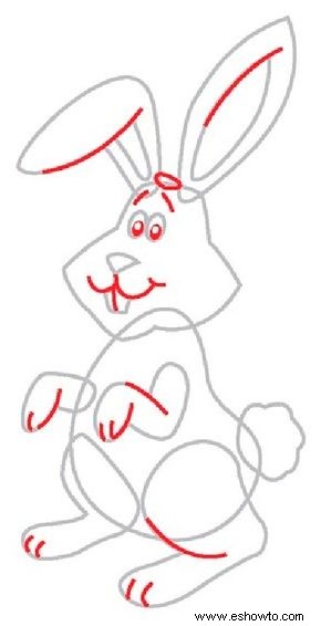 Cómo dibujar un conejo en 5 pasos 