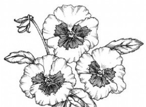 Cómo Dibujar un Pensamiento: Guía Ilustrada en 5 Pasos Fáciles