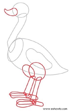 Cómo dibujar un avestruz en 5 pasos 