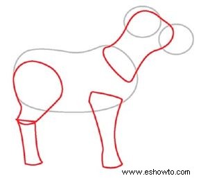 Cómo dibujar una vaca en 4 pasos 