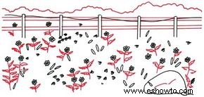 Cómo dibujar un campo de flores en 5 pasos 