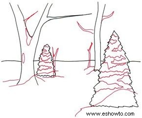 Cómo dibujar un sendero en el bosque en 5 pasos 