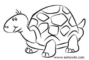 Cómo dibujar una tortuga en 5 pasos 