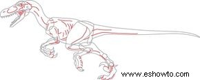 Cómo dibujar un Velociraptor en 6 pasos 