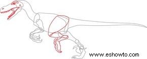 Cómo dibujar un Velociraptor en 6 pasos 