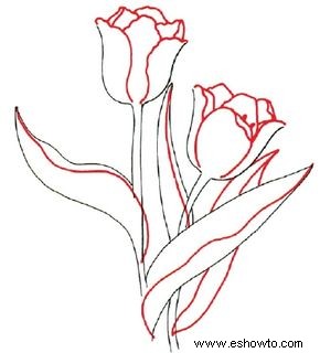 Cómo dibujar un tulipán en 3 pasos 