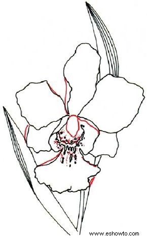 Cómo dibujar una orquídea en 5 pasos 