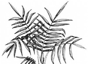 Cómo Dibujar una Palmera en Maceta: Guía Paso a Paso para Principiantes