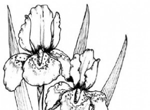 Cómo dibujar un iris en 5 pasos 