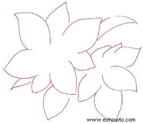 Cómo dibujar una flor de Pascua en 5 pasos 