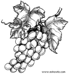Cómo dibujar uvas en 5 pasos 