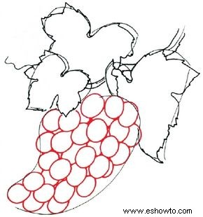 Cómo dibujar uvas en 5 pasos 