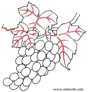 Cómo dibujar uvas en 5 pasos 