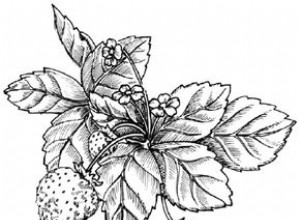 Cómo Dibujar una Planta de Fresa Realista en 5 Pasos Fáciles