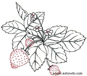 Cómo dibujar una fresa en 5 pasos 