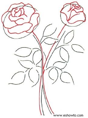 Cómo dibujar una rosa en 5 pasos 