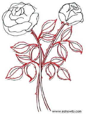 Cómo dibujar una rosa en 5 pasos 