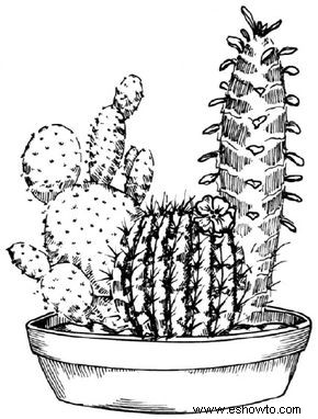 Cómo dibujar un cactus en 7 pasos 