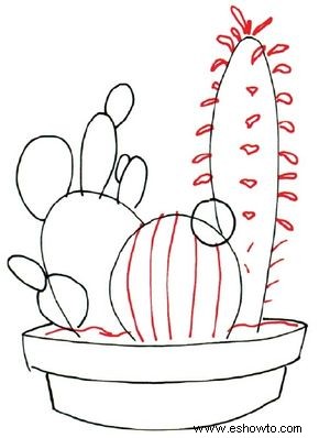 Cómo dibujar un cactus en 7 pasos 