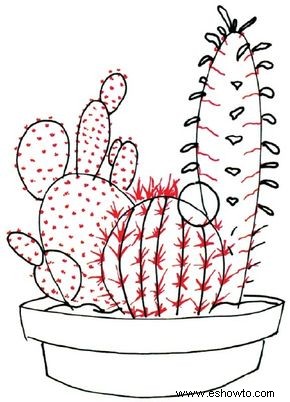 Cómo dibujar un cactus en 7 pasos 